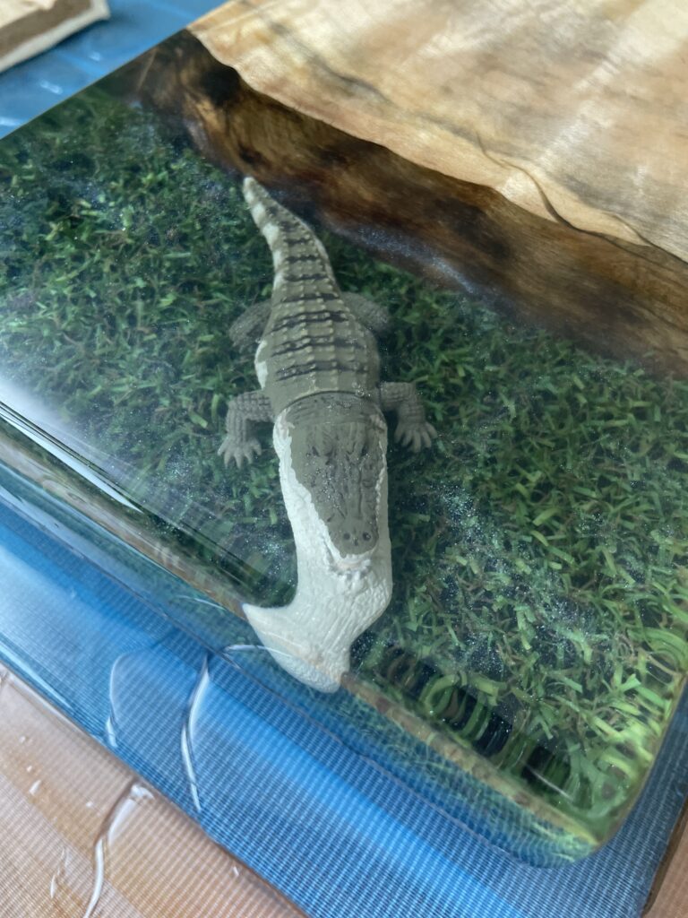 ワニ🐊